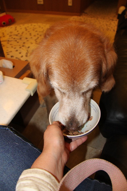 ファイル 2335-4.jpg