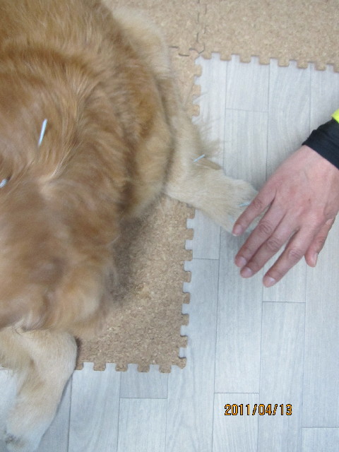 ファイル 2338-3.jpg