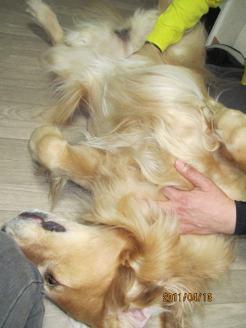 ファイル 2338-4.jpg