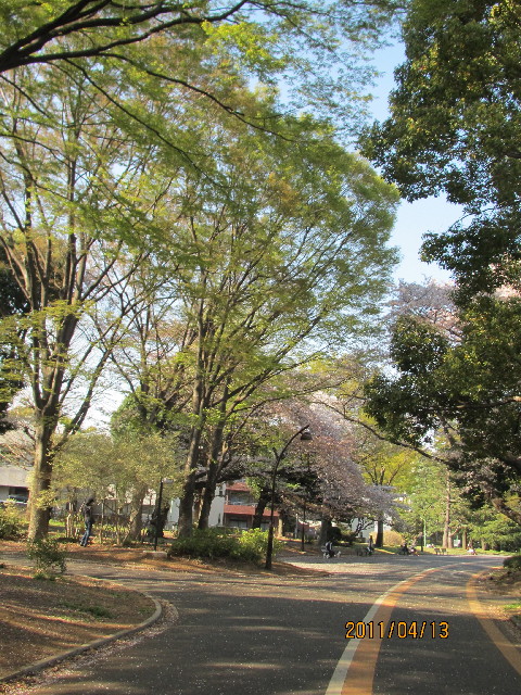 ファイル 2339-1.jpg