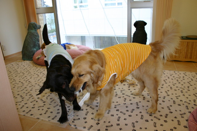 ファイル 234-1.jpg