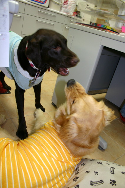 ファイル 234-2.jpg