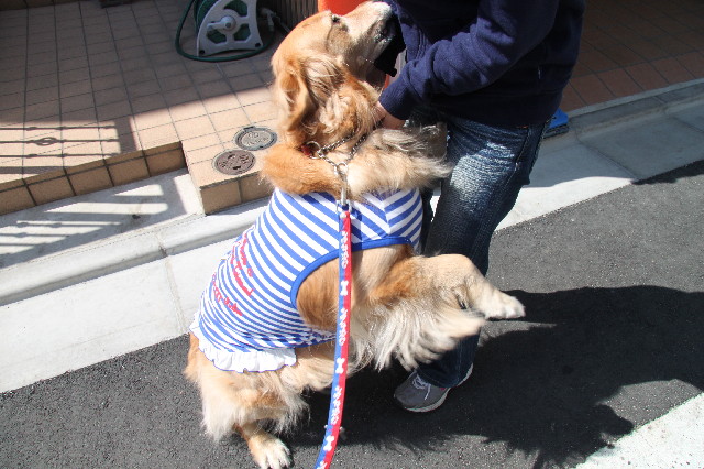 ファイル 2341-1.jpg