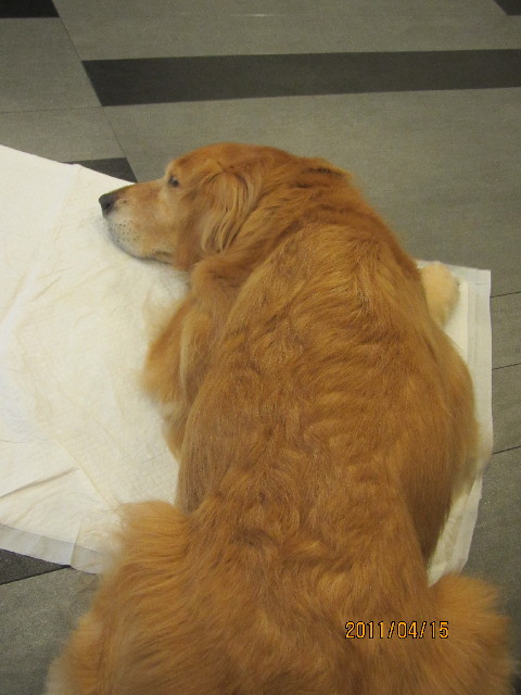 ファイル 2342-3.jpg