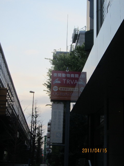 ファイル 2342-4.jpg