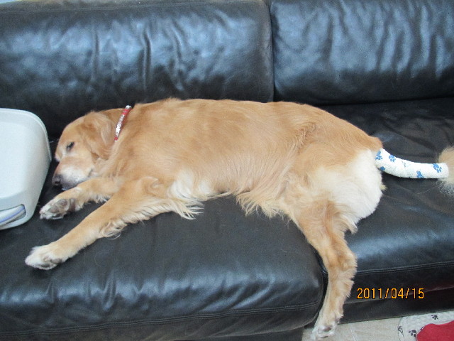 ファイル 2342-5.jpg