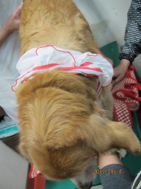 ファイル 2343-4.jpg