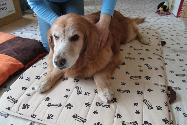 ファイル 2344-2.jpg