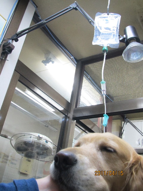 ファイル 2344-3.jpg