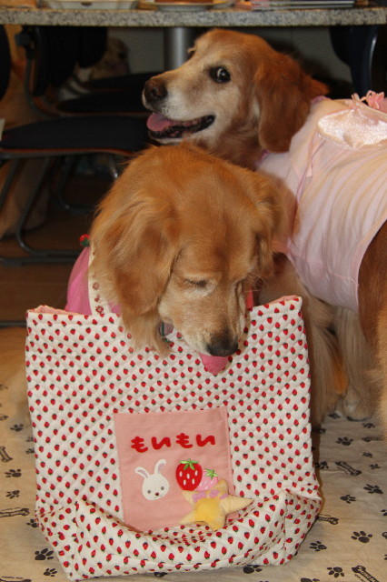 ファイル 2348-3.jpg