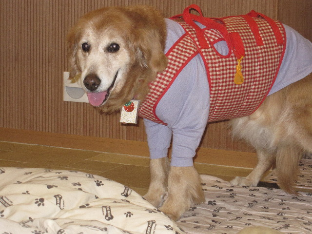 ファイル 2349-4.jpg