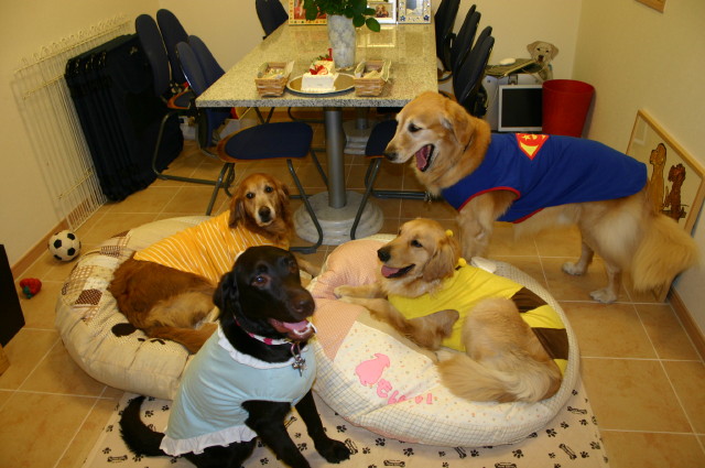 ファイル 235-1.jpg