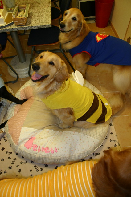 ファイル 235-3.jpg