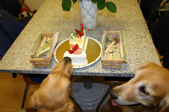 ファイル 235-4.jpg