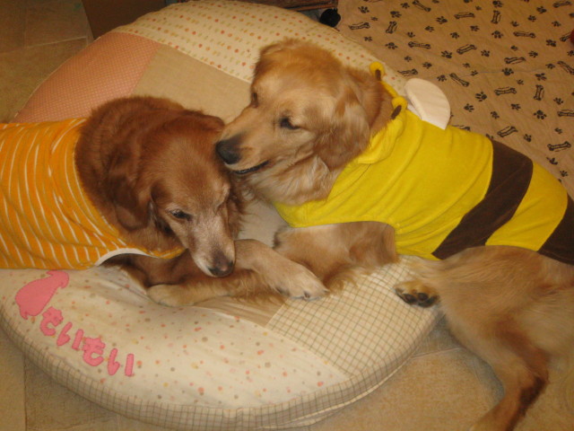 ファイル 235-5.jpg