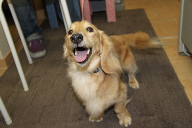 ファイル 2350-1.jpg