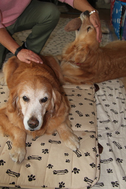 ファイル 2350-3.jpg