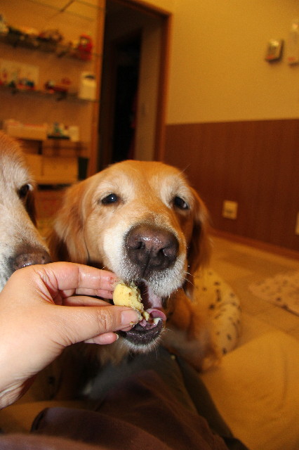 ファイル 2351-2.jpg