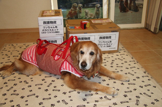 ファイル 2354-3.jpg