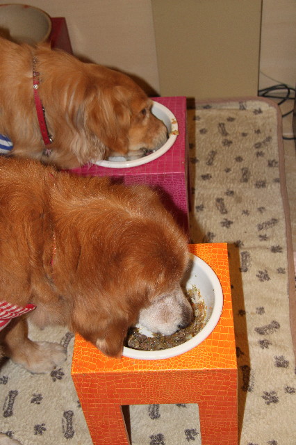 ファイル 2355-2.jpg