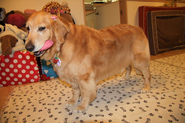 ファイル 2355-4.jpg