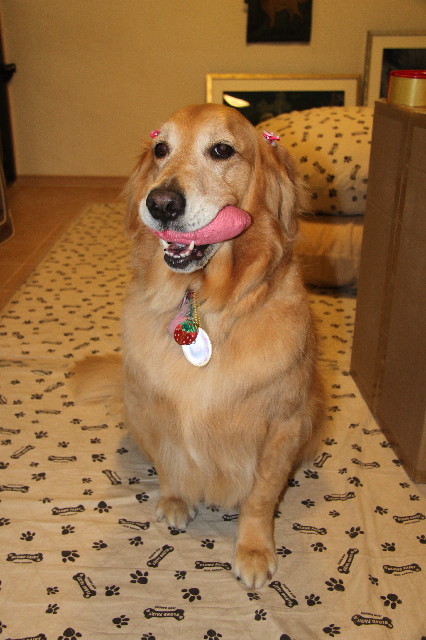 ファイル 2355-5.jpg