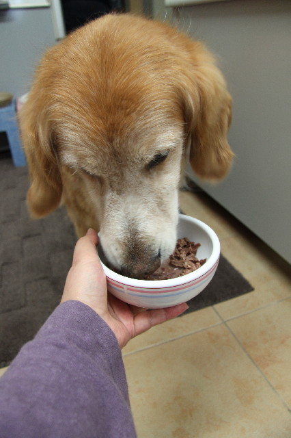 ファイル 2358-2.jpg