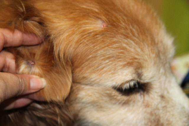 ファイル 2358-3.jpg