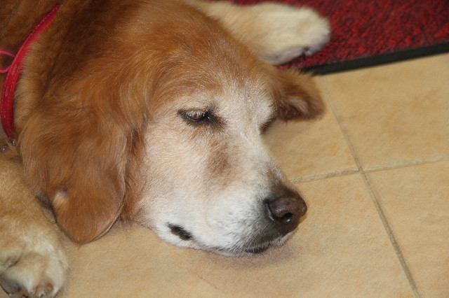 ファイル 2358-5.jpg