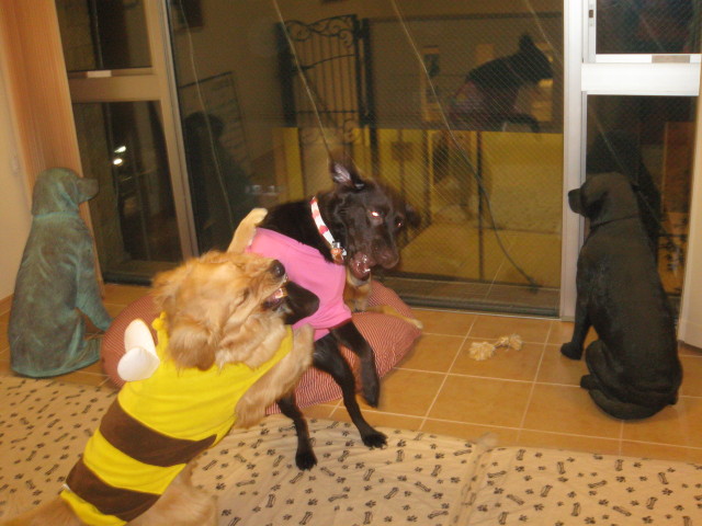 ファイル 236-4.jpg