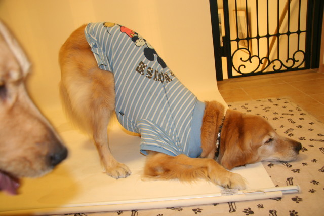 ファイル 236-5.jpg