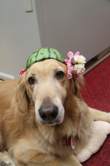 ファイル 2362-3.jpg