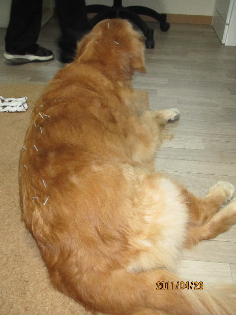 ファイル 2363-2.jpg