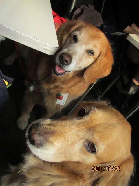 ファイル 2363-5.jpg