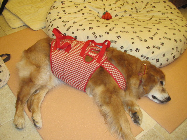 ファイル 2365-2.jpg