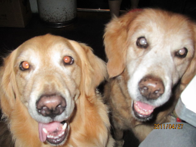 ファイル 2365-5.jpg