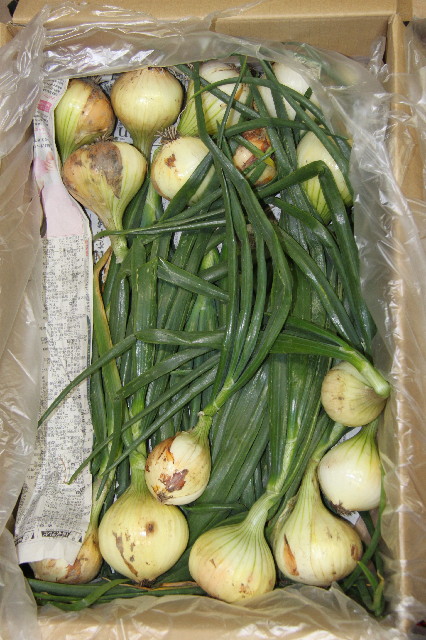 ファイル 2367-4.jpg