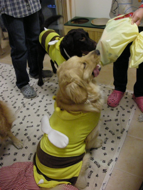 ファイル 237-2.jpg