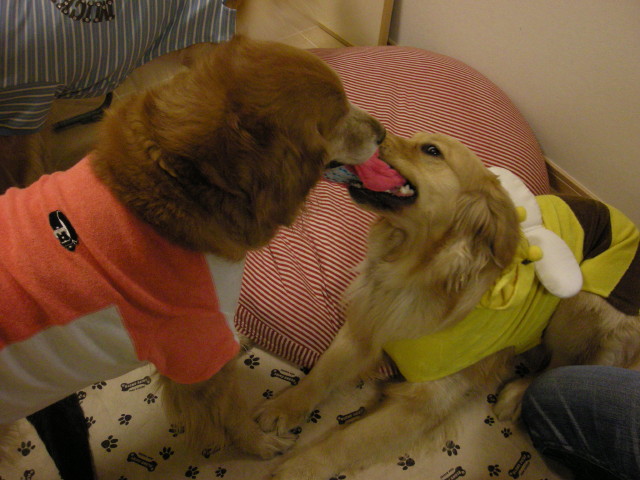 ファイル 237-4.jpg