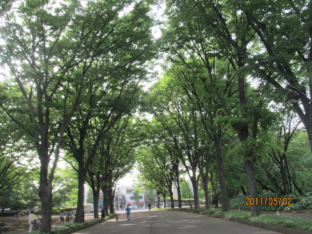 ファイル 2370-1.jpg