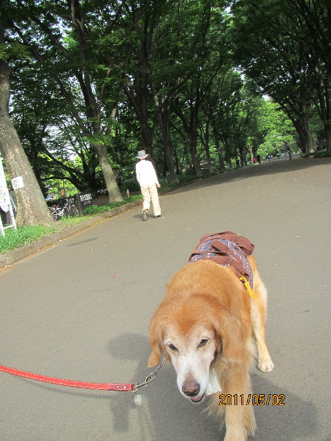 ファイル 2370-3.jpg