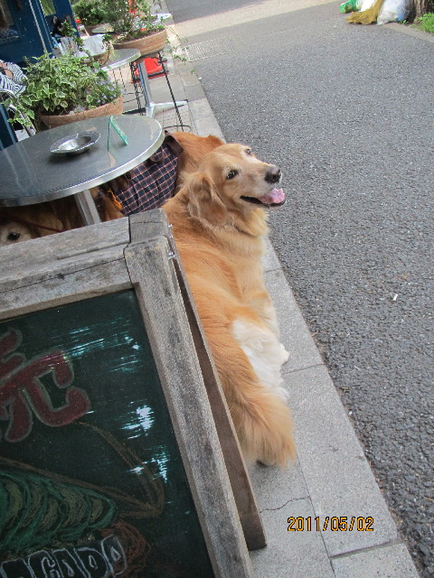 ファイル 2370-4.jpg