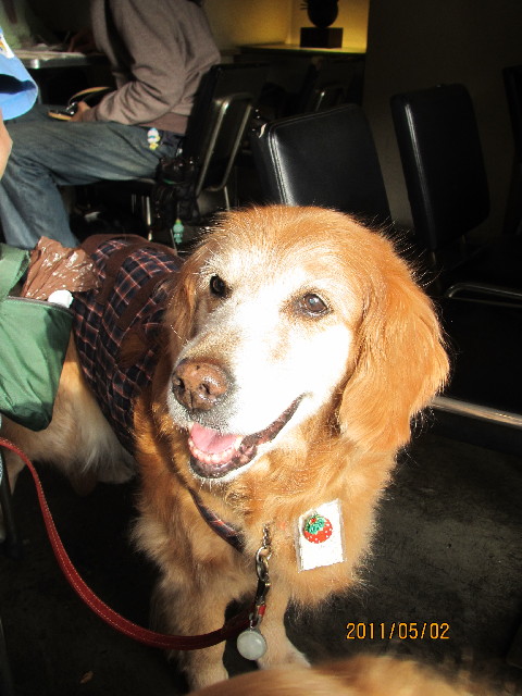 ファイル 2370-5.jpg