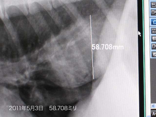 ファイル 2373-3.jpg