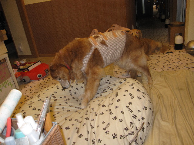 ファイル 2374-4.jpg