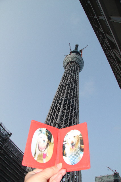 ファイル 2377-4.jpg