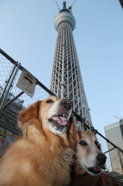 ファイル 2377-5.jpg