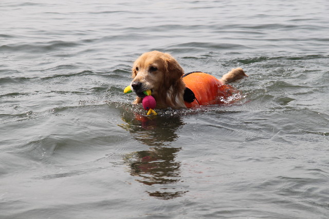 ファイル 2380-1.jpg