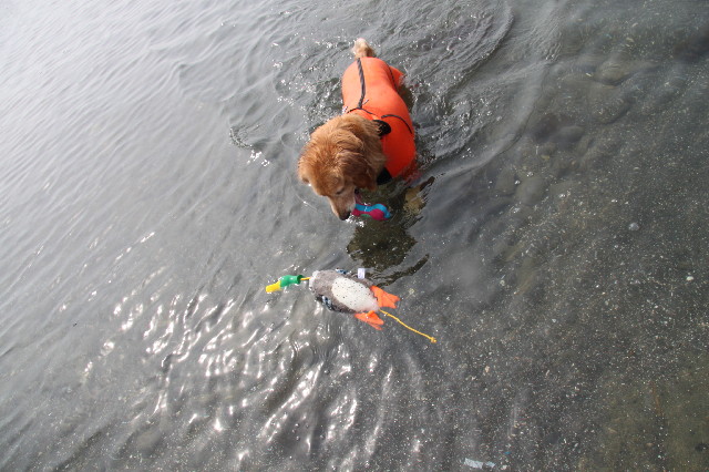 ファイル 2380-5.jpg