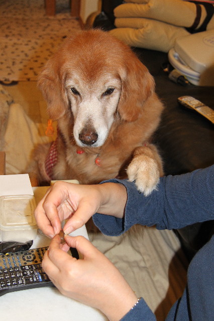 ファイル 2382-5.jpg